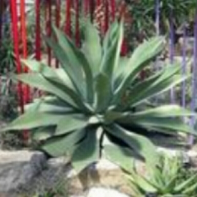 Guaranteed Landscaping, LLC project